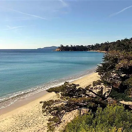 - 4 Pers, Piscine, Terrasse, Proche Au Lavandou - Fr-1-251-556 Apartment