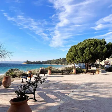 - 4 Pers, Piscine, Terrasse, Proche Au Lavandou - Fr-1-251-556