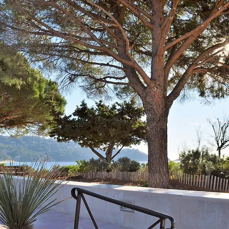 Apartment - 4 Pers, Piscine, Terrasse, Proche Au Lavandou - Fr-1-251-556 Le Lavandou